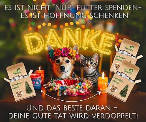 Weihnachtsfreude mit ANIfit schenken